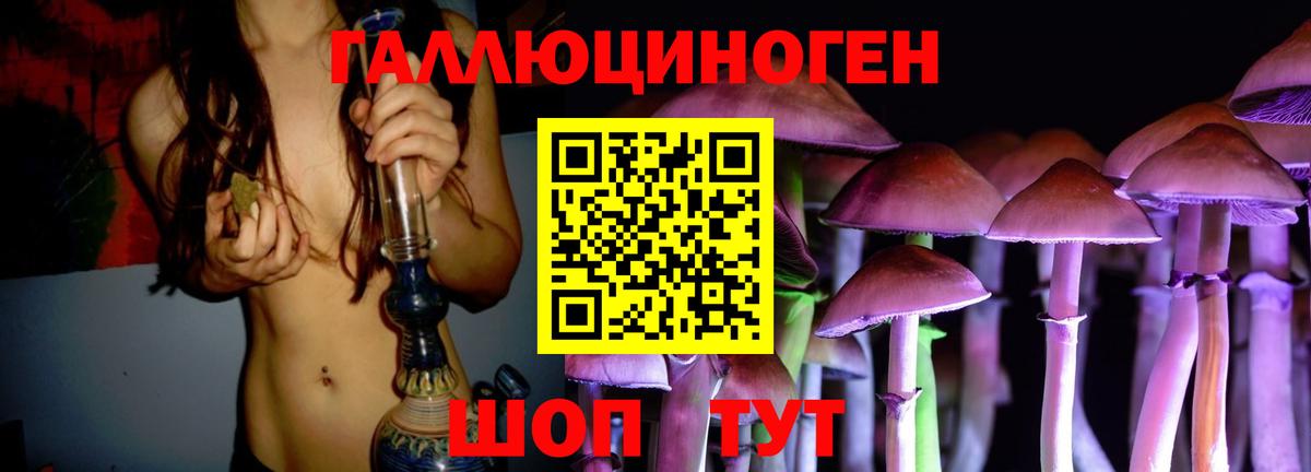 Галлюциногенные грибы GOLDEN TEACHER Чапаевск